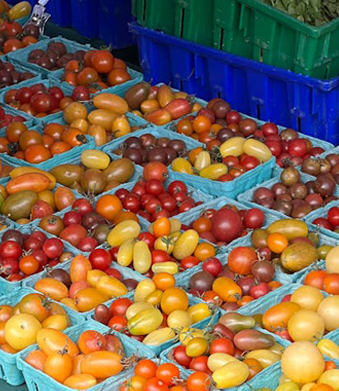 Bandeja de comida de plástico